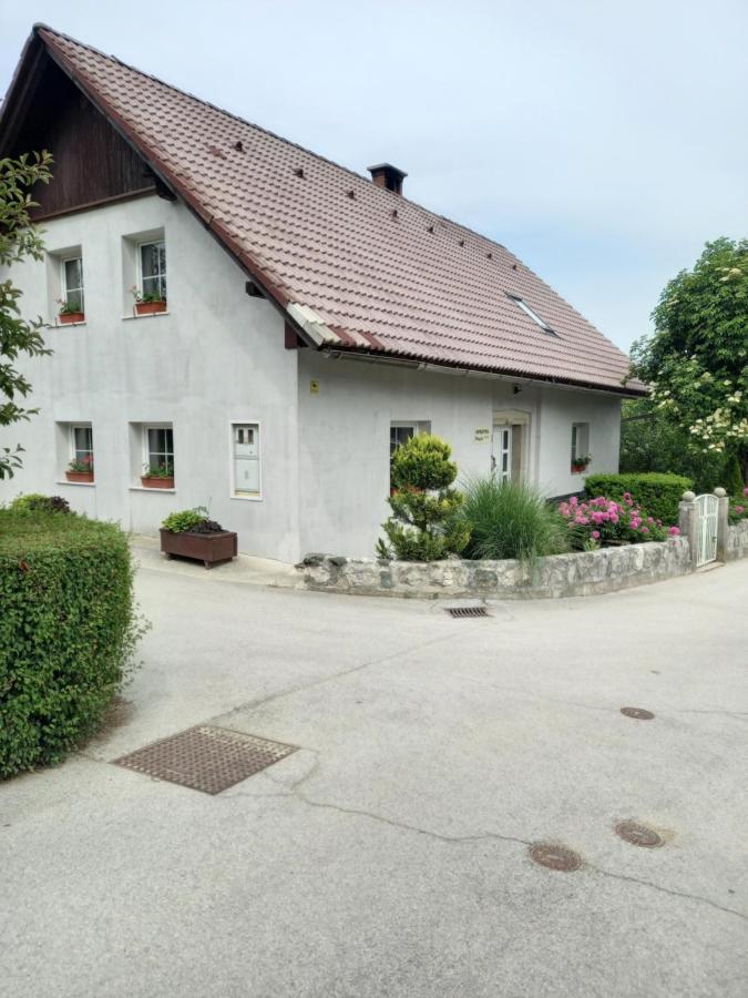 Apartmaji Magda Zgornje Gorje Kültér fotó